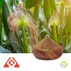 Corn Silk Extract 4:1 TLC