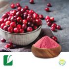 Cranberry Extract 4:1 by Longze Biotechnology