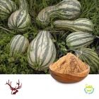 Cucurbita Andreana Powder