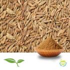 Cumin Seed (Ground) by American Botanicals
