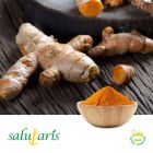Curcumin 95% extract powder by Salutaris