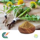 Dandelion Root Extract 10:1 by TRG