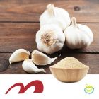 Dried Garlic 16-26 Mesh