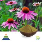 Echinacea Purpurea Ext 2% CHA and CAA HPLC by KS Nutripharma