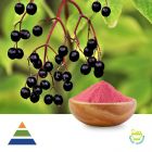 Elderberry Extract 10:1 by KS Nutripharma