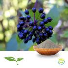 Eleutherococcus Root Powder by American Botanicals