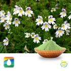 Eyebright Extract 4:1 by Monteloeder