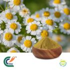 Feverfew Extract 10:1 (cGMP)