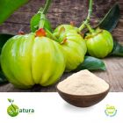 Garcinia Cambogia P.E. 60% HCA