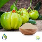 Garcinia Granules Extract 50% HCA