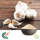 Garlic Granule 20-40 Mesh by TRG