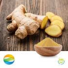 Ginger CO2 Extract 5% Gingerols HPLC