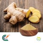 Ginger Extract 4:1 by TRG