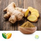 Ginger Extract by Tianhua Pharmaceutical