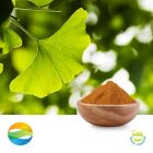 Ginkgo Biloba Extract 24/6