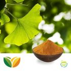 Ginkgo Biloba Leaf Extract USP39 by Tianhua Pharmaceutical