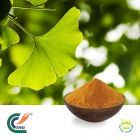 Ginkgo Biloba Extract 24/6% Ginkgolic Acid by TRG