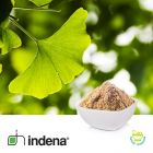 Ginkgoselect® (Ginkgo Biloba Dry Extract) by Indena
