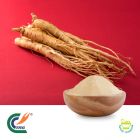 Panax Ginseng Extract 80% Ginsenosides UV (cGMP)