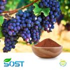 Grape Seed Extract 95% by SOST