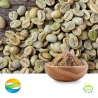 Green Coffee Bean P.E. 50%