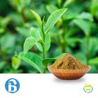 Green Tea Extract 50% Polyphenols by BannerBio