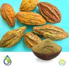 Harda Fruit Powder