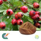 Hawthorn Berry Extract 5:1 (cGMP)