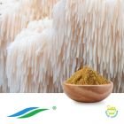 Hericium Erinaceus Extract by Hunan NutraMax