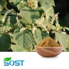 He Shou Wu Extract 30:1