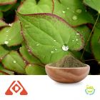 Horny Goat Weed(Epimedium) Extract 10:1 TLC