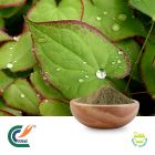 Horny Goat Weed Extract 10% Icariins by TRG