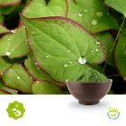 Horny Goat Weed Powder by Hunan Essence