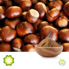 Horse Chestnut Extract 20% Aescin