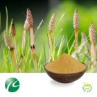 Horsetail Extract 10:1