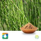 Horsetail Extract 7% Silica (UV) by Monteloeder