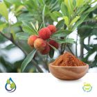 Kaiphal Powder (Steam Treated)