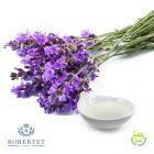 Lavender Oil by Robertet