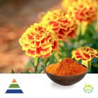 Lutein Esters 5% Powder by KS Nutripharma