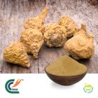 Maca Root Powder (cGMP)