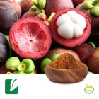 Mangosteen Fruit Powder by Longze Biotechnology