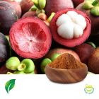 Mangosteen 10% P.E. 20% Polyphenol by Sunnycare