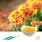 Marigold Extract 20% Lutein Oil HPLC by Hunan NutraMax