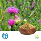 Milk Thistle P.E. 80% Silymarin by BannerBio
