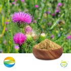 Milk Thistle Extract 80% Silymarin by CCGB