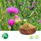 Organic Milk Thistle 80% Silymarin