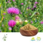 Milk Thistle Extract 80% Silymarin