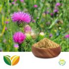 Milk Thistle 80% Silymarin by Tianhua Pharmaceutical