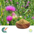 Milk Thistle P.E 5:1 by TRG