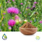 Milk Thistle Powder (Steam Treated) by S.A. Herbal Bioactives